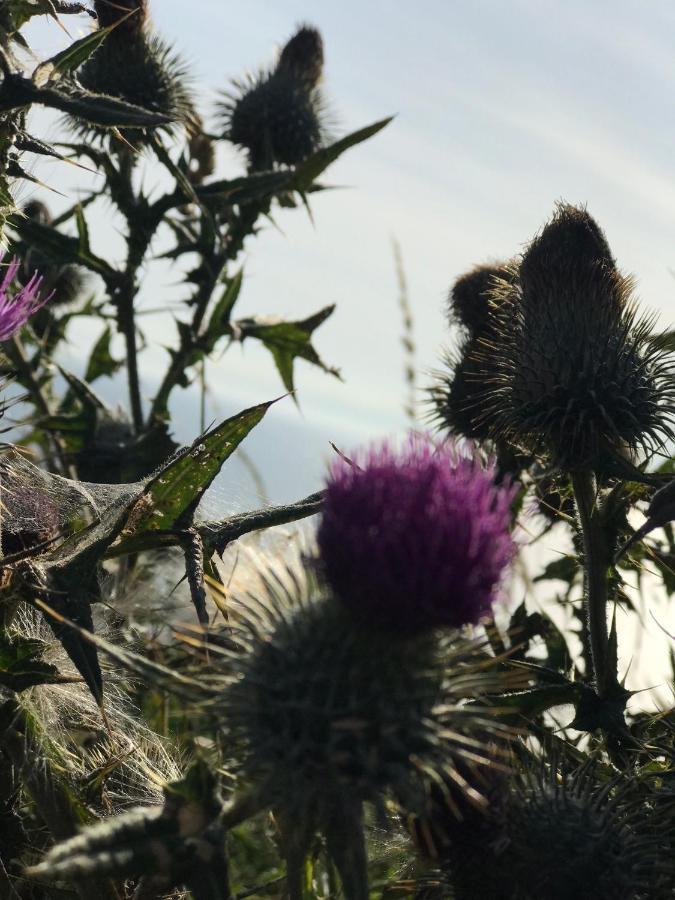 Bunnahabhain 5 - Farm Stay - Stunning Sea And Rural Views สแตรนราร์ ภายนอก รูปภาพ