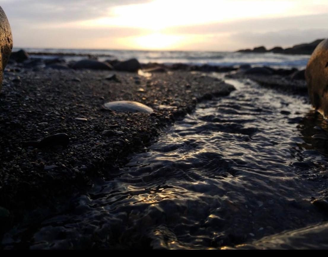 Bunnahabhain 5 - Farm Stay - Stunning Sea And Rural Views สแตรนราร์ ภายนอก รูปภาพ