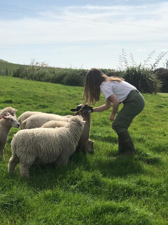 Bunnahabhain 5 - Farm Stay - Stunning Sea And Rural Views สแตรนราร์ ภายนอก รูปภาพ