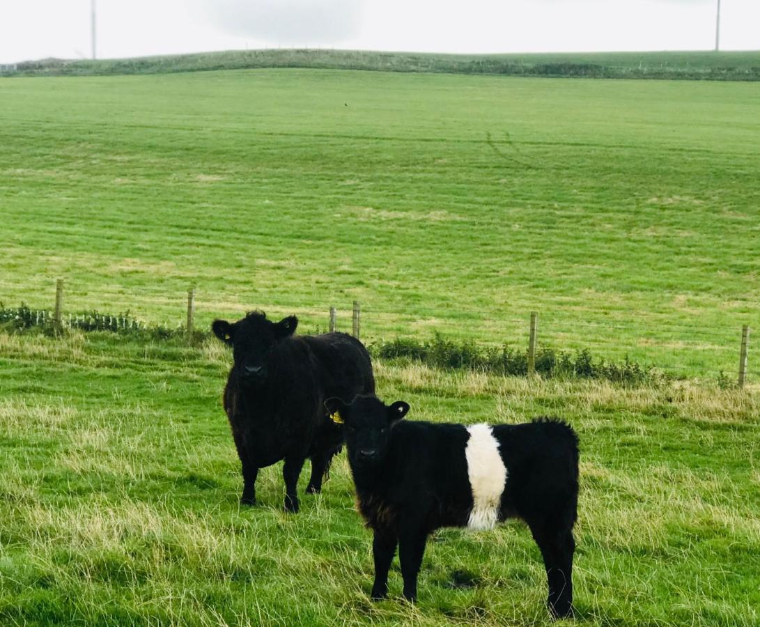 Bunnahabhain 5 - Farm Stay - Stunning Sea And Rural Views สแตรนราร์ ภายนอก รูปภาพ