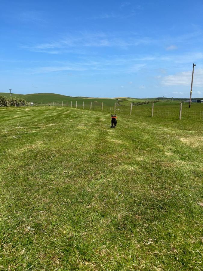Bunnahabhain 5 - Farm Stay - Stunning Sea And Rural Views สแตรนราร์ ภายนอก รูปภาพ